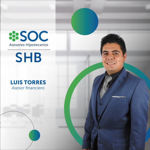 LUIS  DAVID TORRES HERNANDEZ