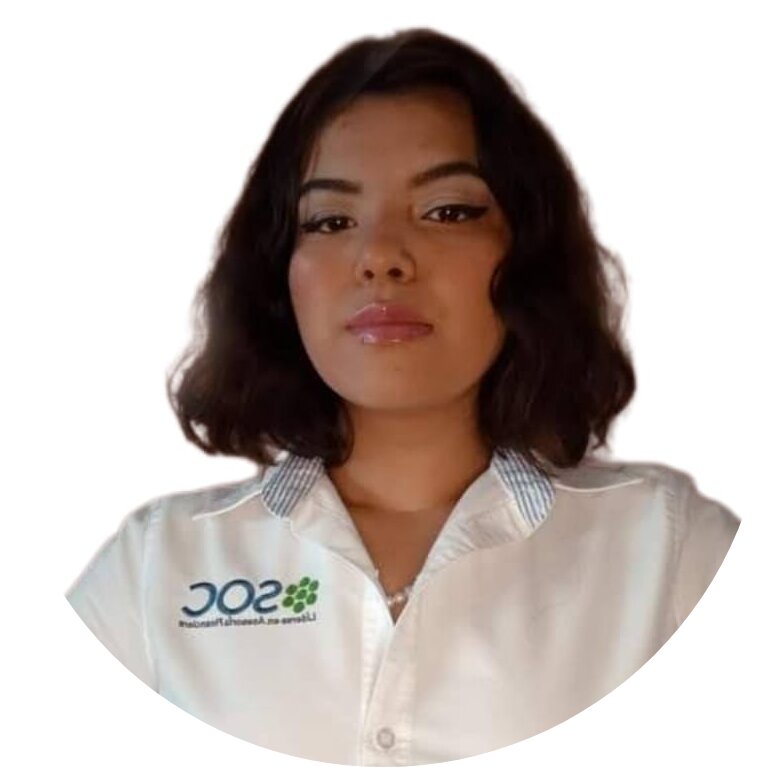 KARINA AYESHA PALAFOX HERNANDEZ