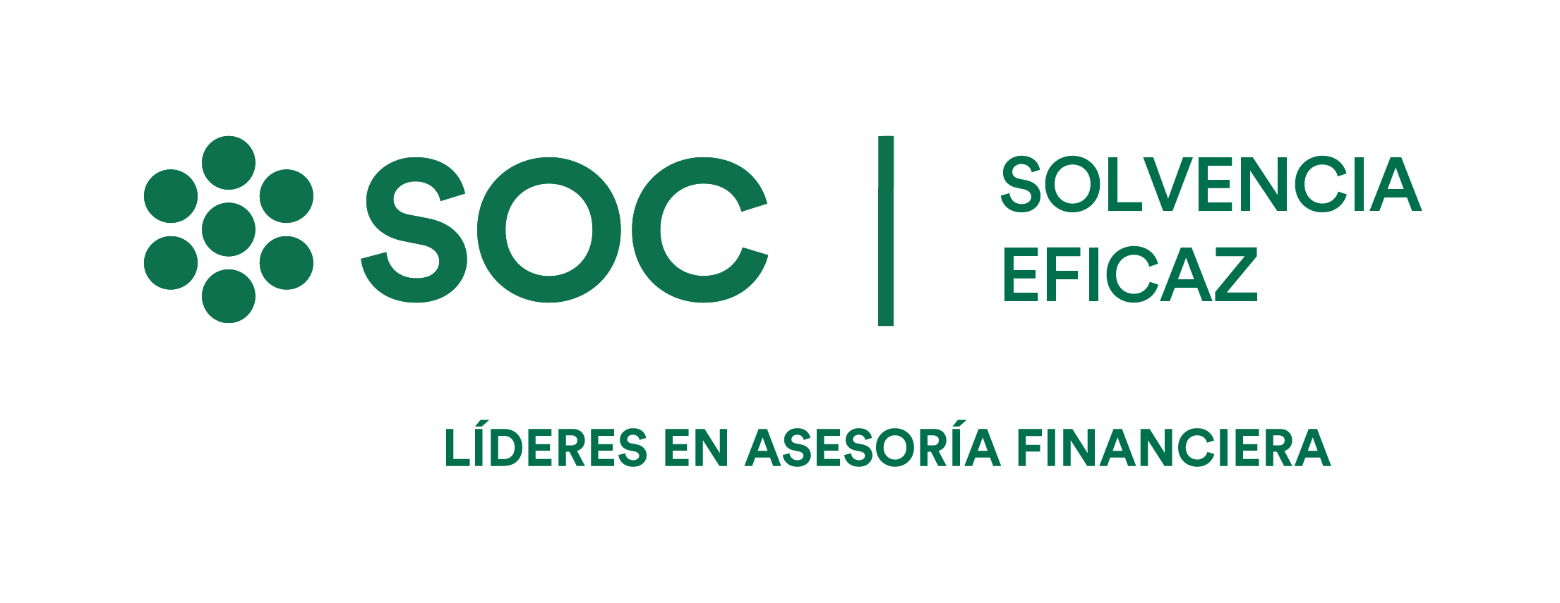 SOLVENCIA EFICAZ